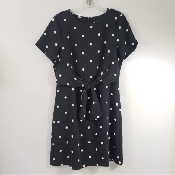 Ann Taylor Dresses & Skirts - Ann Taylor Size 6 Women's Short Sleeve Polka Dot Black Shift Dress Tie Waist
